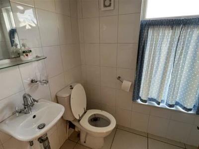 Picture 8